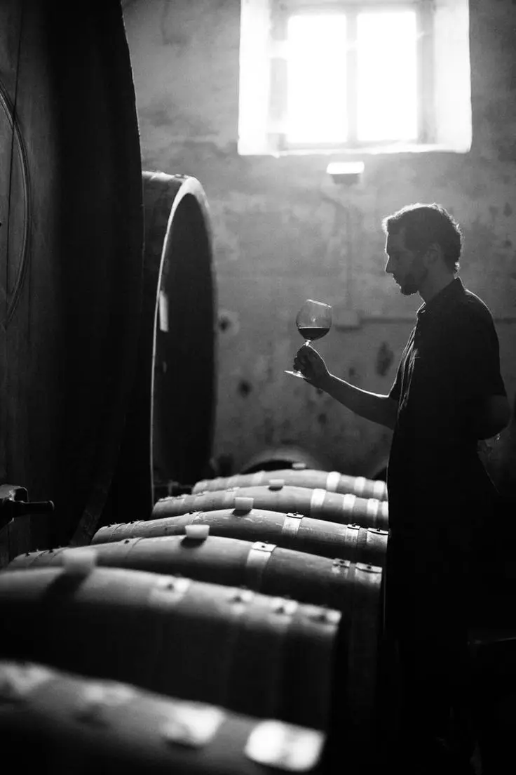 Nuestra selección de champagnes premium representa lo mejor de las casas más prestigiosas de la región de Champagne.