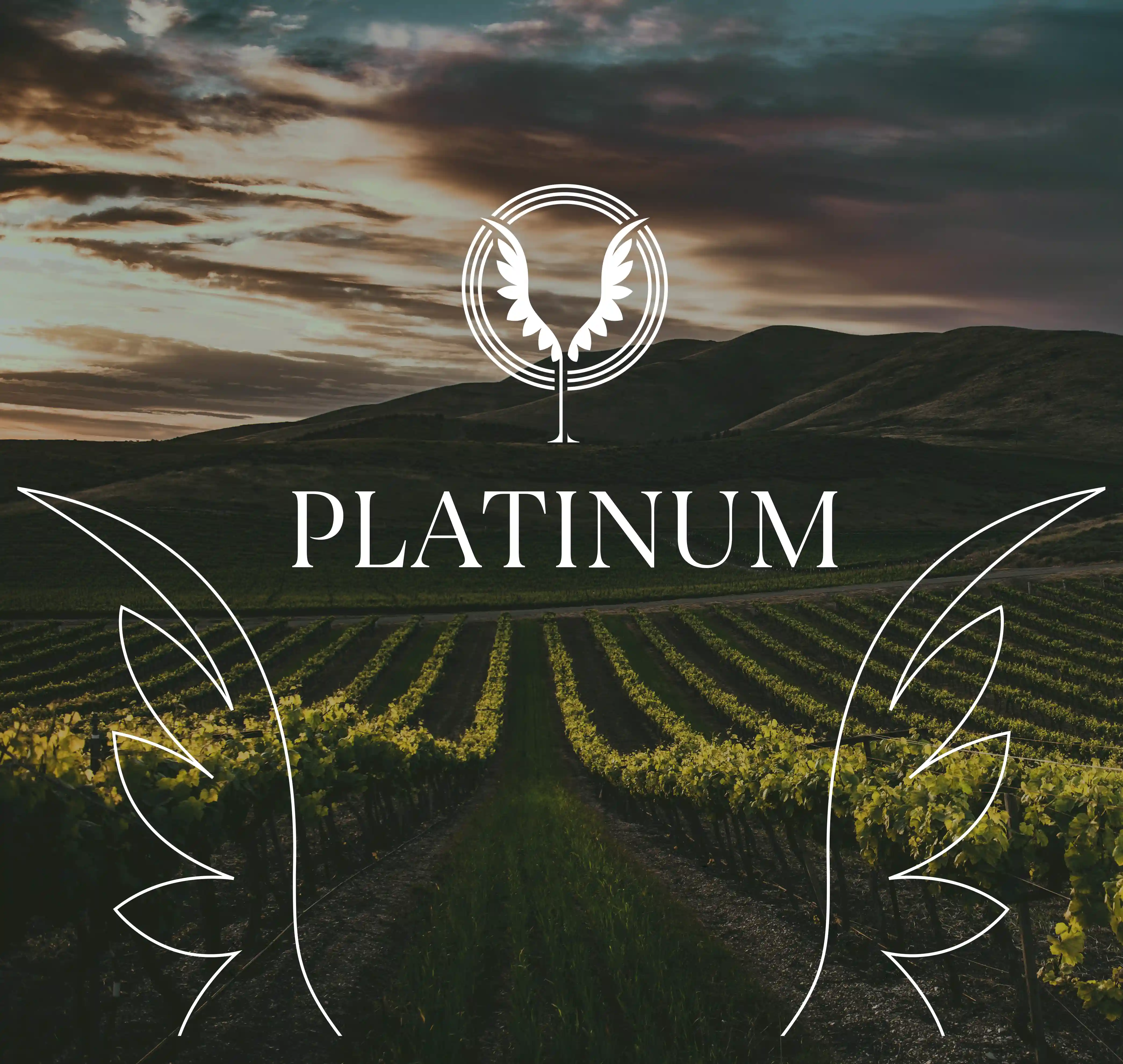 Platinum Membership